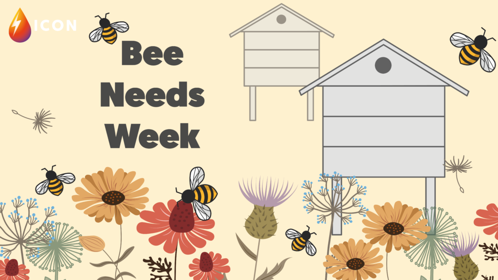 Five actions you do can do to help pollinators on Bees’ Needs Week 2021